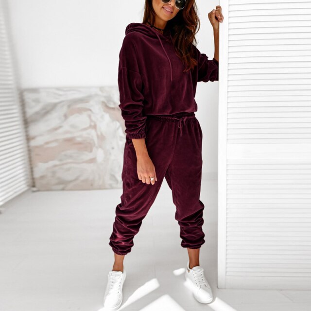 Alexis Women's Velour Hooded Jogger