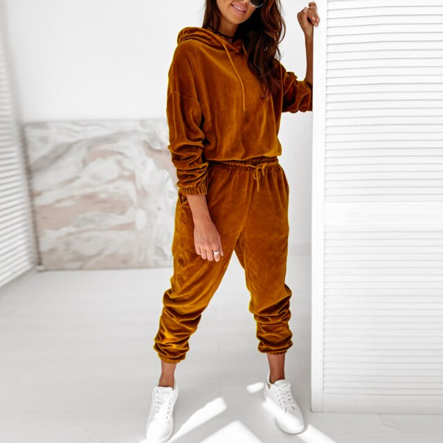 Alexis Women's Velour Hooded Jogger